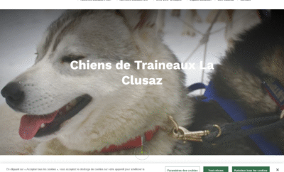 Chiens de traineaux