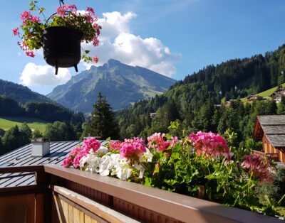 Image de la propriété